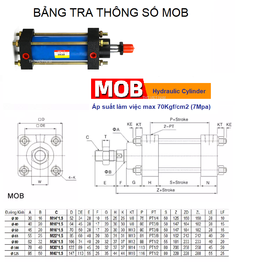 Xy Lanh Thủy Lực MOB100x100